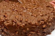 Torta-de-Chocolate-feita-em-15-minutos-Eu-faco-isso-quase-todos-os-dias-610x300